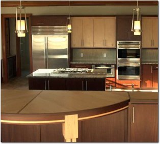 contemporary kitchen idea 2
